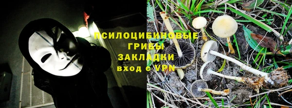 apvp Волосово