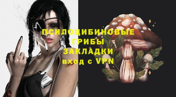 ПСИЛОЦИБИНОВЫЕ ГРИБЫ Верея