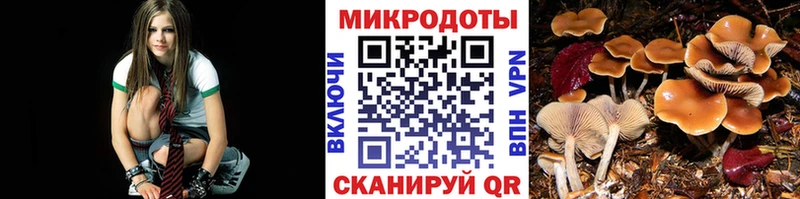 Купить закладки  Кирсанов  Галлюциногенные грибы мицелий 